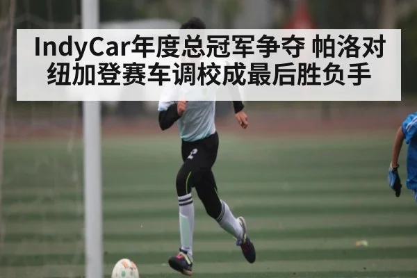 IndyCar年度总冠军争夺 帕洛对纽加登赛车调校成最后胜负手
