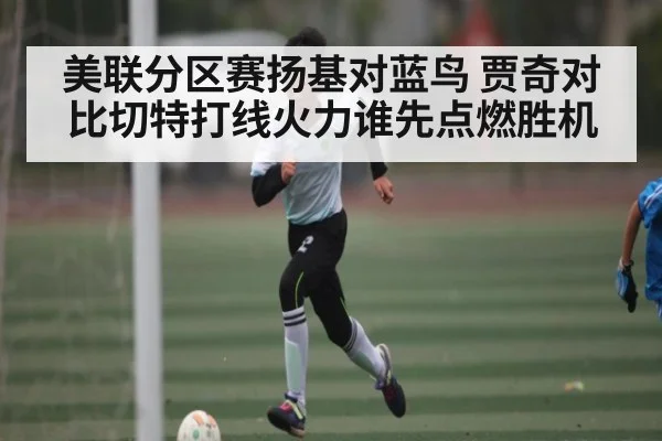 美联分区赛扬基对蓝鸟 贾奇对比切特打线火力谁先点燃胜机